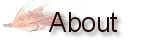 About the Association.