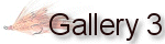 Pools and Views, Gallery 3.