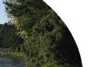 Click on the images to Continue.