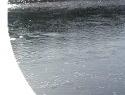 Forres Angling Association