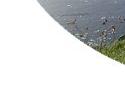 Forres Angling Association