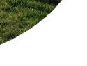 Click on the images to Continue.
