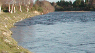 Forres Angling Association.
