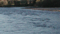 View of the Red Craig pool looking North.