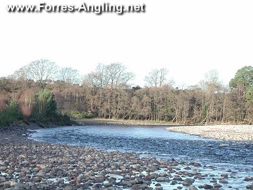 Newton Pool.