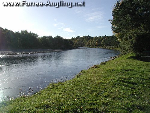 Red Craig Pool Looking Up River.