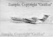 BE-42 Copyright Griffon - Click here
